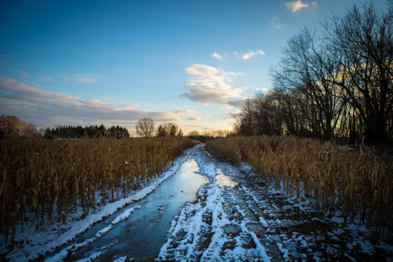 What Does Your Muddy Water Dream Really Mean