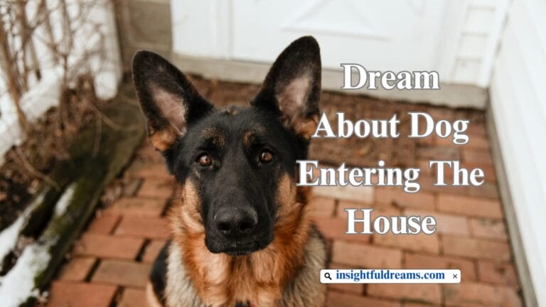 Dream About Dog Entering The House