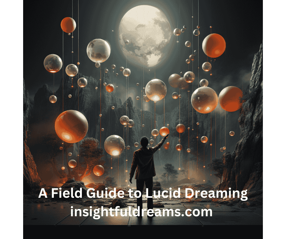 A Field Guide to Lucid Dreaming