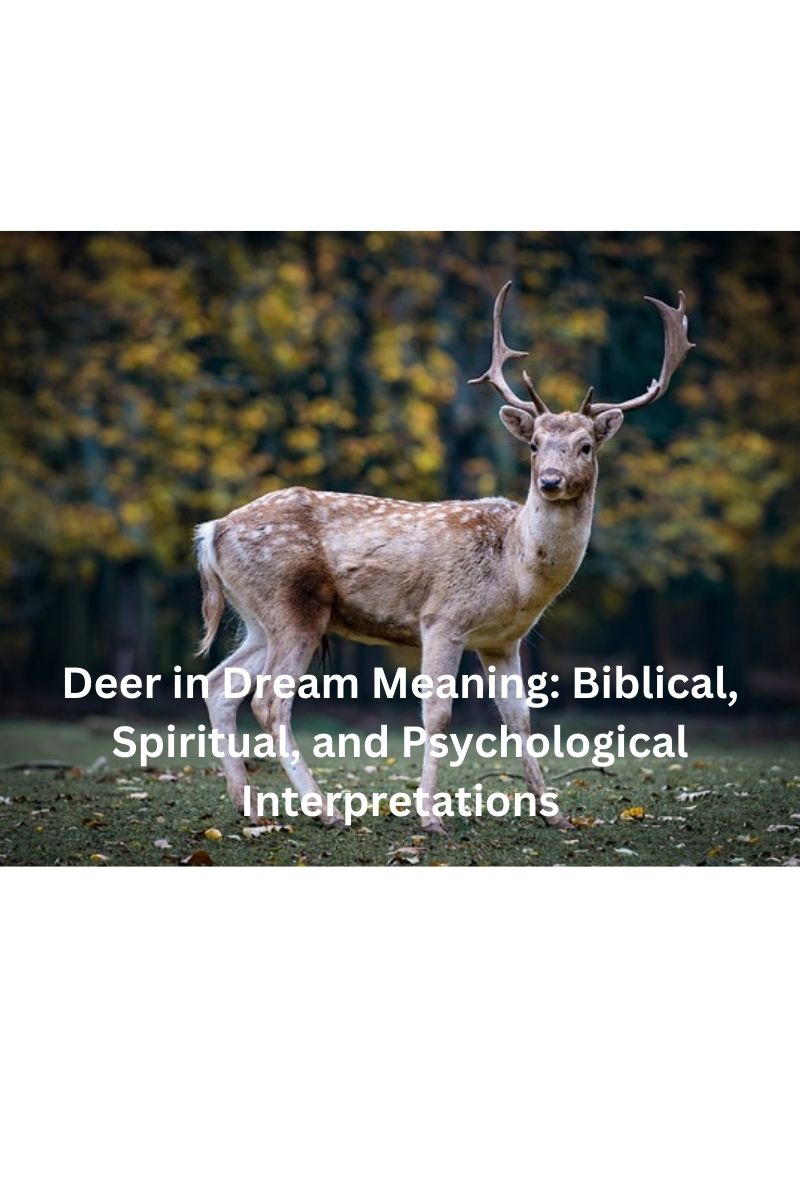 Deer in Dream Meaning Biblical, Spiritual, and Psychological Interpretations