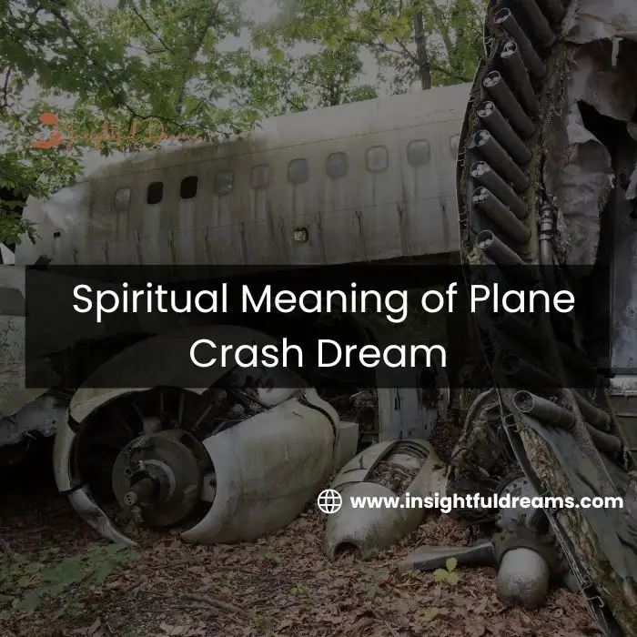 airplane crash dream meaning